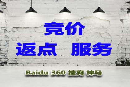 百度竞价SEM深度解析：某行业成功推广经验